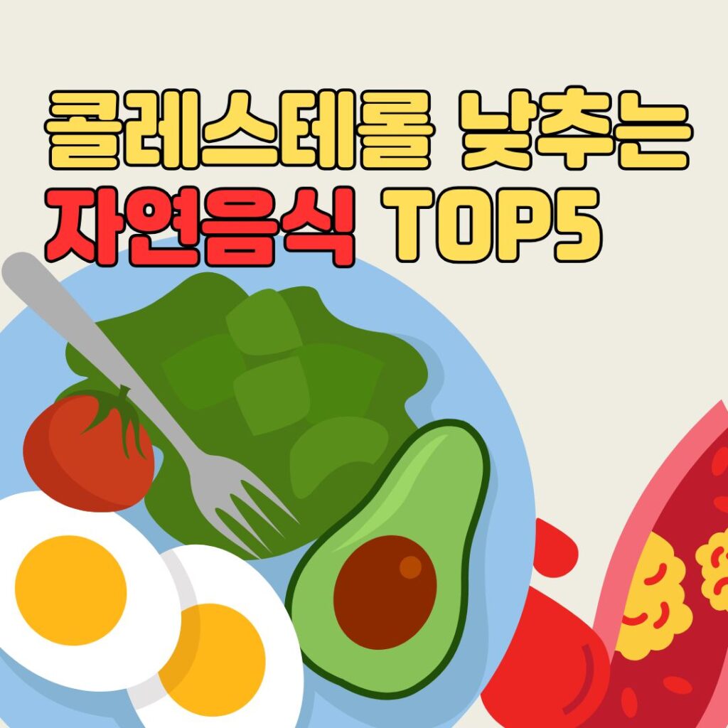 콜레스테롤